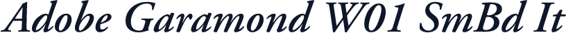 Adobe Garamond W01 SmBd It
