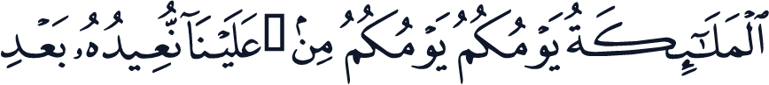 QCF_P331