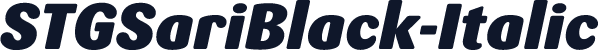 STGSariBlack-Italic