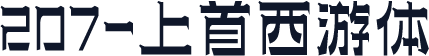 207-上首西游体