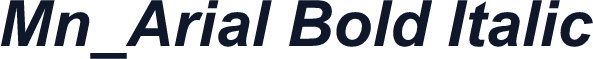 Mn_Arial Bold Italic