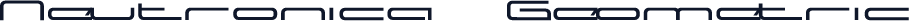 Neutronica   Geometric