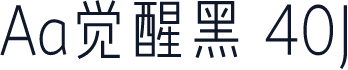 Aa觉醒黑 40J