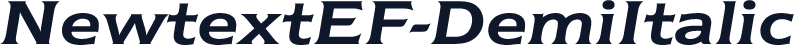 NewtextEF-DemiItalic