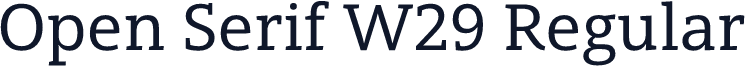 Open Serif W29 Regular