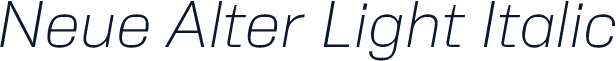 Neue Alter Light Italic