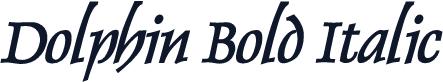 Dolphin Bold Italic