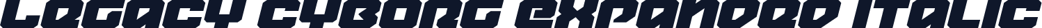 Legacy Cyborg Expanded Italic