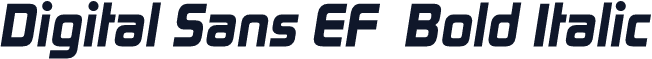 Digital Sans EF  Bold Italic