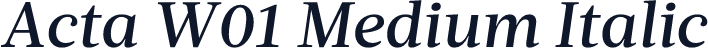 Acta W01 Medium Italic