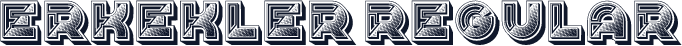 Erkekler Regular