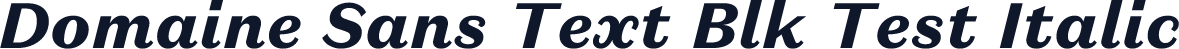 Domaine Sans Text Blk Test Italic