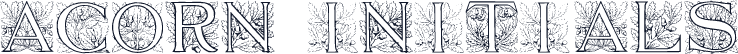 Acorn Initials