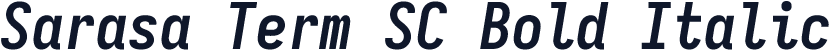 Sarasa Term SC Bold Italic