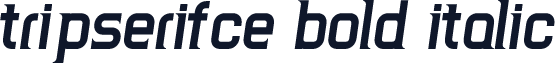 TripSerifCE Bold Italic