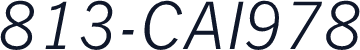813-CAI978