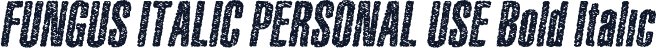 FUNGUS ITALIC PERSONAL USE Bold Italic