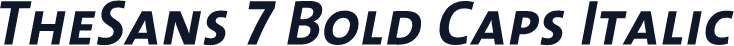 TheSans 7 Bold Caps Italic
