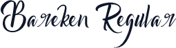 Bareken Regular