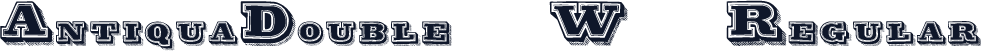 AntiquaDouble12 W90 Regular
