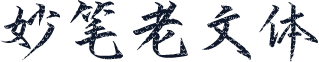 妙笔老文体