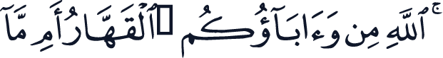 QCF_P240