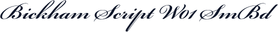 Bickham Script W01 SmBd