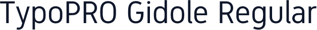 TypoPRO Gidole Regular