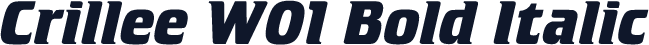Crillee W01 Bold Italic