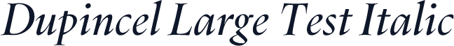 Dupincel Large Test Italic