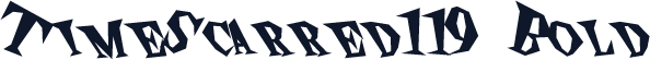 TimeScarred119 Bold