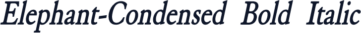 Elephant-Condensed Bold Italic