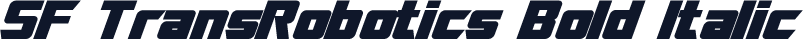 SF TransRobotics Bold Italic