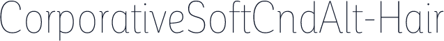 ☞CorporativeSoftCndAlt-Hair
