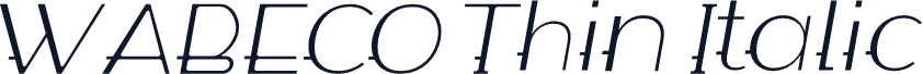 WABECO Thin Italic