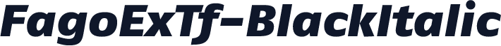 FagoExTf-BlackItalic