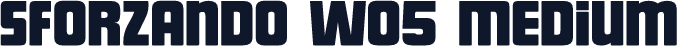 Sforzando W05 Medium