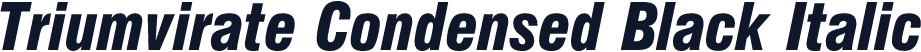 Triumvirate Condensed Black Italic
