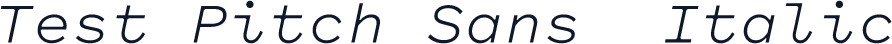Test Pitch Sans  Italic