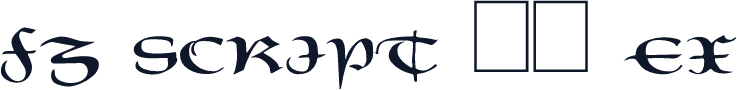FZ SCRIPT 19 EX
