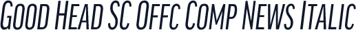 Good Head SC Offc Comp News Italic