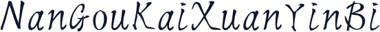 NanGouKaiXuanYinBi