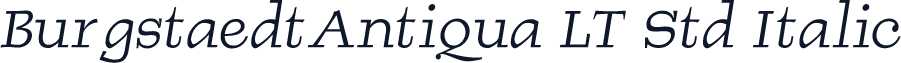 BurgstaedtAntiqua LT Std Italic