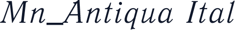 Mn_Antiqua Ital