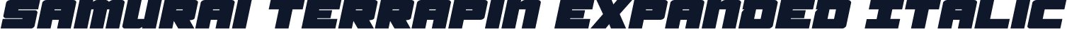 Samurai Terrapin Expanded Italic