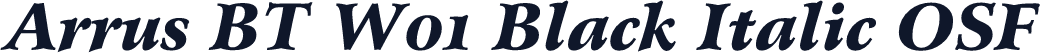 Arrus BT W01 Black Italic OSF