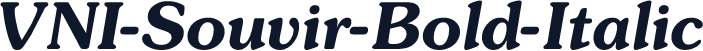 VNI-Souvir-Bold-Italic