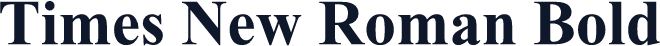 Times New Roman Bold
