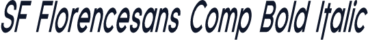 SF Florencesans Comp Bold Italic