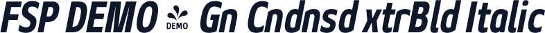 FSP DEMO - Gn Cndnsd xtrBld Italic